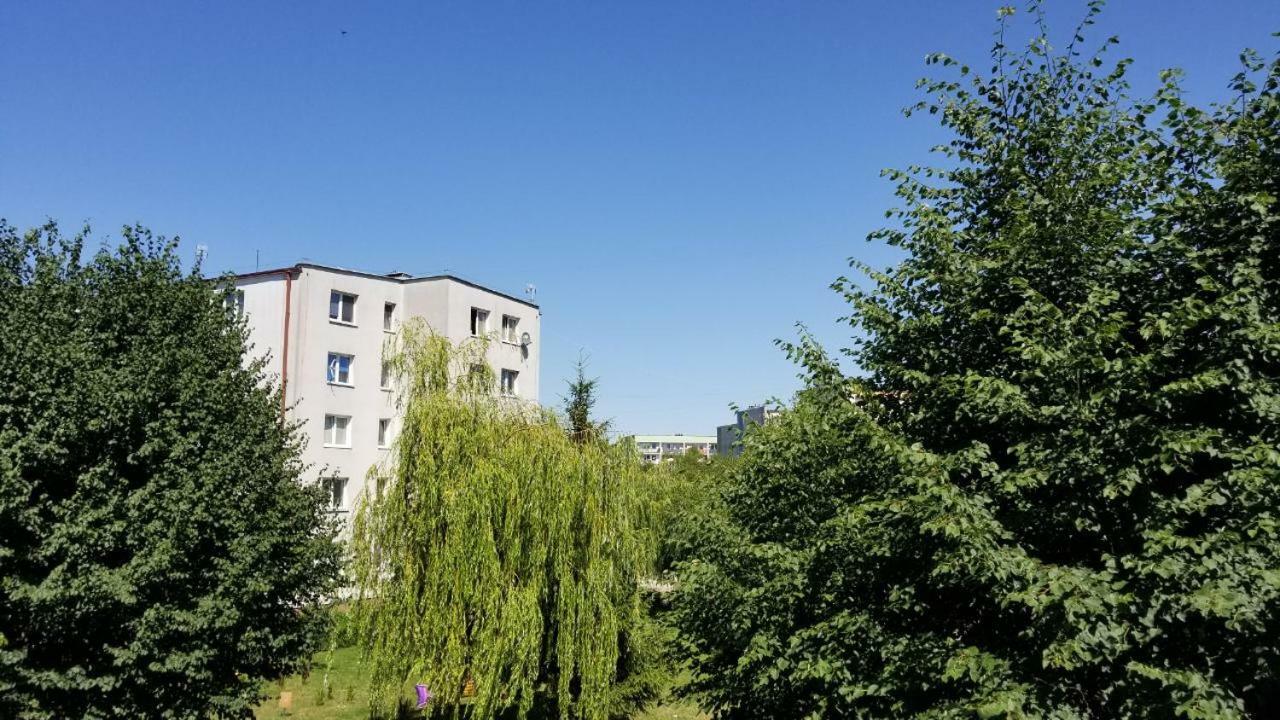 דירות Apartament Turkusowy רוצ'יאנה-נידה מראה חיצוני תמונה